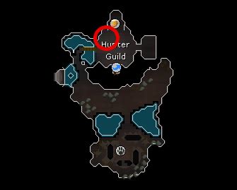 osrs guild hunter teco|OSRS Rumour System in the Hunter Guild .